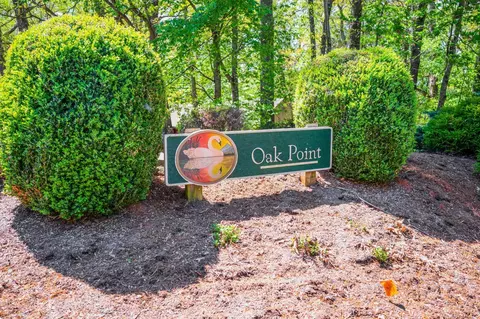 View/Area - 424 Oak Point Rd, Forest, VA 24551 photo 4 of 14