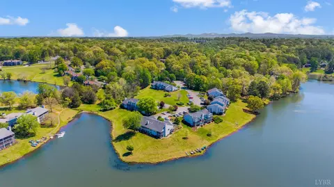 View/Area - 424 Oak Point Rd, Forest, VA 24551 photo 9 of 14