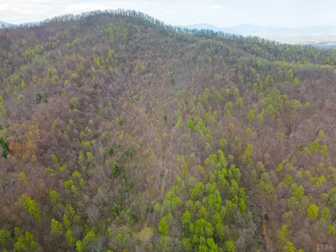 0 Wares Gap Rd, Monroe, VA 24574