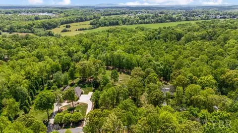 View/Area - 217 Millspring Dr, Forest, VA 24551 photo 3 of 4