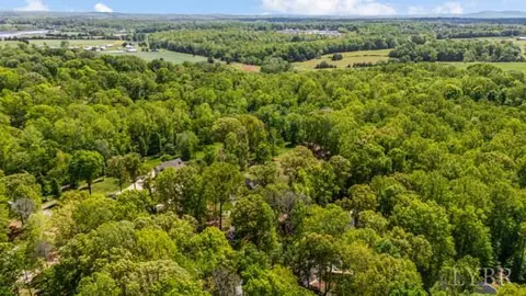 View/Area - 217 Millspring Dr, Forest, VA 24551 photo 4 of 4