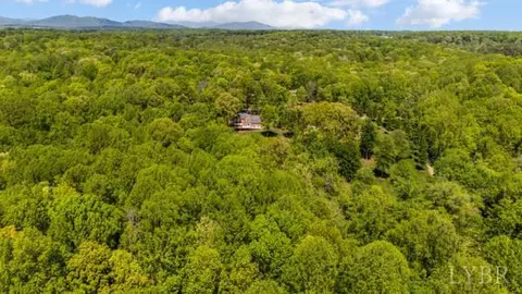 Other - 217 Millspring Dr, Forest, VA 24551 photo 13 of 15