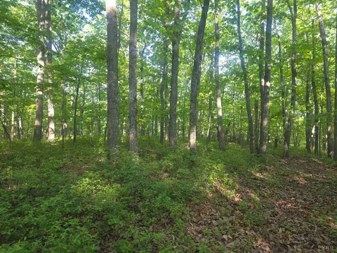 0 Nighthawk Rd, Lynchburg, VA 24504