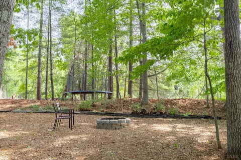 Exterior - 1103 Ivy Pl, Forest, VA 24551 photo 12 of 20
