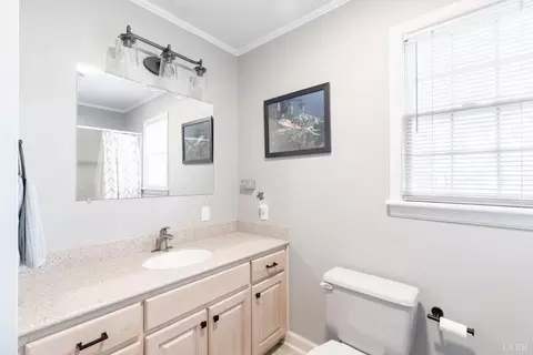 Bath - 1103 Ivy Pl, Forest, VA 24551 photo 8 of 9
