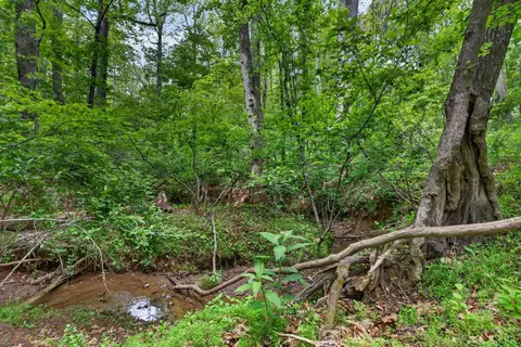 Other - 1249 Cedar Gate Rd, Monroe, VA 24574 photo 22 of 22