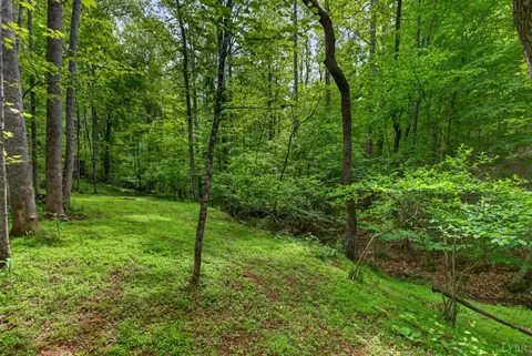 Exterior - 1249 Cedar Gate Rd, Monroe, VA 24574 photo 21 of 25