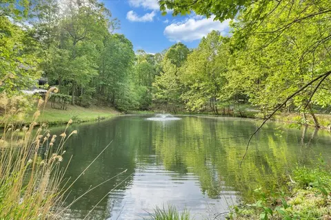 290 Silver Shadow, Hardy, VA 24101 photo 59