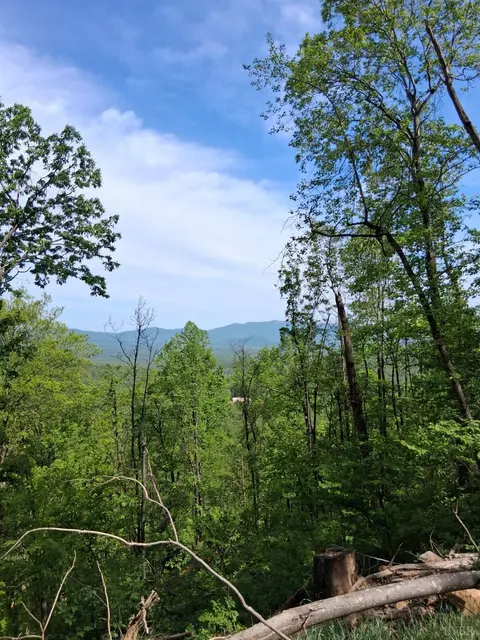 0 Robinson Gap Rd, Monroe, VA 24574