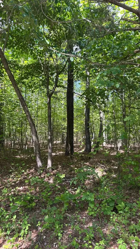 1 Foxfire Ln, Bedford, VA 24523