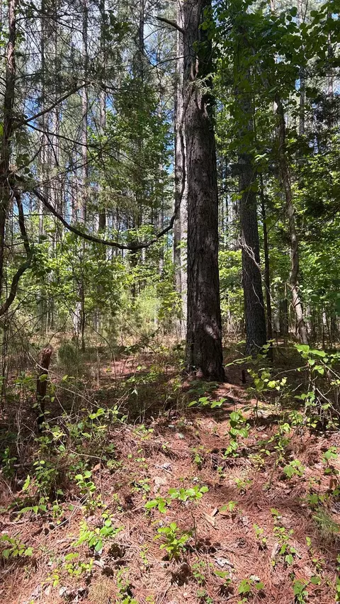 3 Foxfire Ln, Bedford, VA 24523