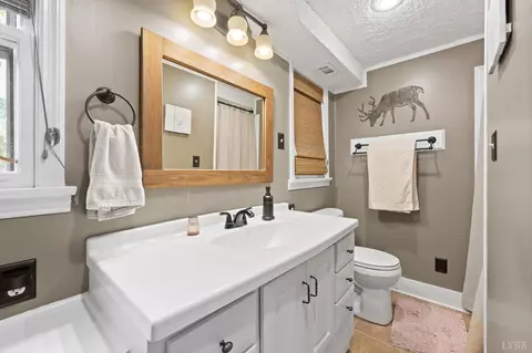Bath - 142 Whitehead Dr, Amherst, VA 24521 photo 3 of 3