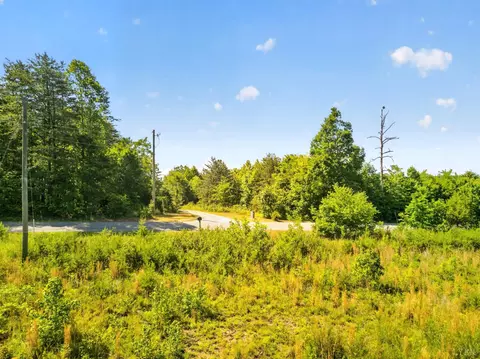 0 Mohawk Rd, Gladys, VA 24554 photo 6