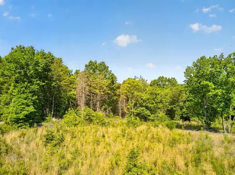0 Mohawk Rd, Gladys, VA 24554 photo 3