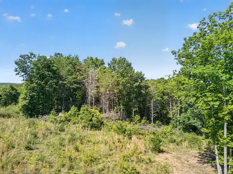 0 Mohawk Rd, Gladys, VA 24554 photo 5