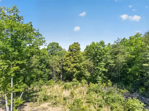 0 Mohawk Rd, Gladys, VA 24554 photo 4