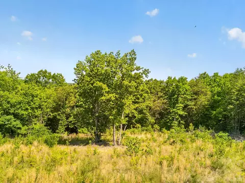 0 Mohawk Rd, Gladys, VA 24554 photo 1