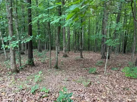 3 Red Bird Dr, Gladstone, VA 24553