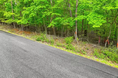 0 Old Barn Rd, Moneta, VA 24121 photo 10