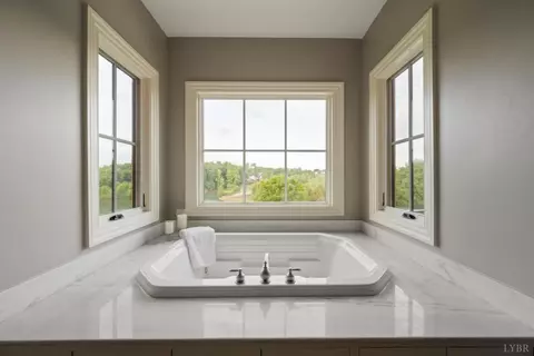 Bath - 1423 Lakepointe Dr, Forest, VA 24551 photo 3 of 9