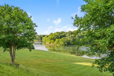 View/Area - 1423 Lakepointe Dr, Forest, VA 24551 photo 5 of 12