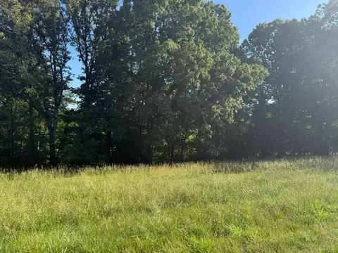 0 Wingfield Dr, Goode, VA 24556 photo 2