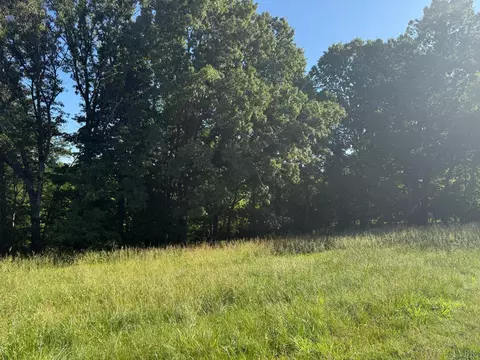 0 Wingfield Dr, Goode, VA 24556 photo 3