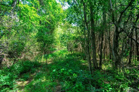 0 Mortimer Dr, Evington, VA 24550 photo 19