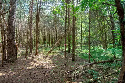 0 Mortimer Dr, Evington, VA 24550 photo 7
