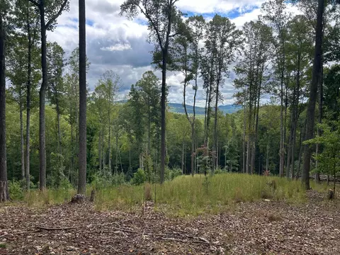 0 Skyline Above Reservoir, Amherst, VA 24483 photo 6