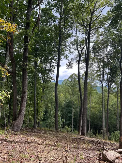 0 Skyline Above Reservoir, Amherst, VA 24483 photo 8