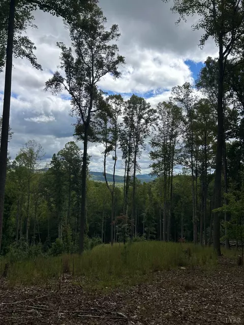 0 Skyline Above Reservoir, Amherst, VA 24483 photo 7