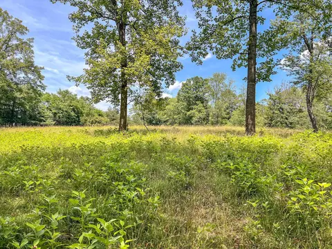 2050 High Peak Rd, Monroe, VA 24574 photo 46