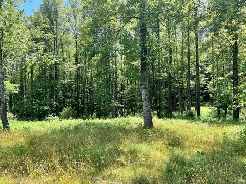 2050 High Peak Rd, Monroe, VA 24574 photo 43