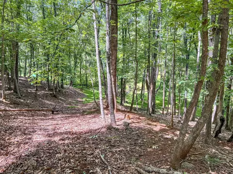 2050 High Peak Rd, Monroe, VA 24574 photo 48