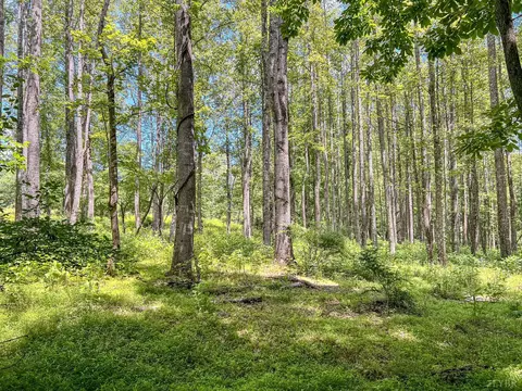 2050 High Peak Rd, Monroe, VA 24574 photo 47