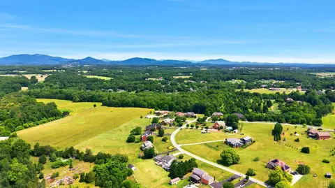 View/Area - 110 Harmony Ln, Forest, VA 24551 photo 4 of 9
