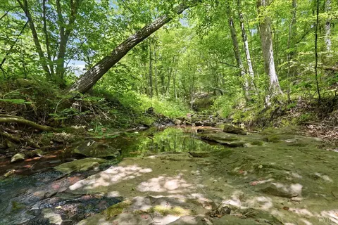Undisclosed, Spout Spring, VA 24593 photo 8