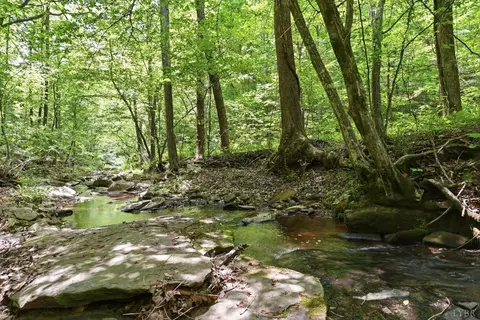 Undisclosed, Spout Spring, VA 24593 photo 9