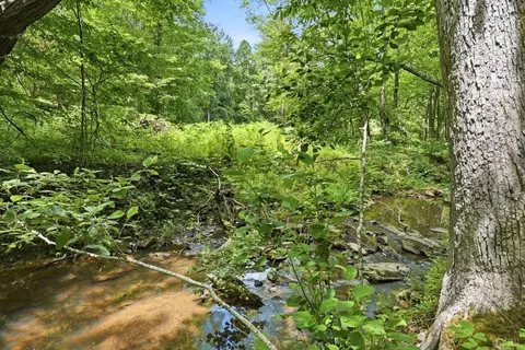 Undisclosed, Spout Spring, VA 24593 photo 6