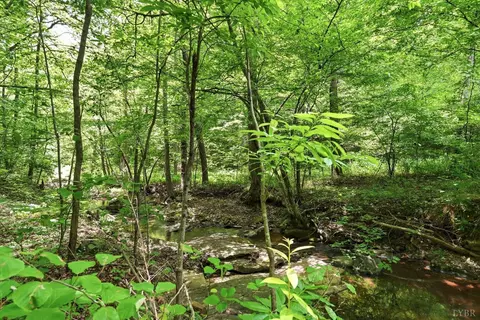 Undisclosed, Spout Spring, VA 24593 photo 7
