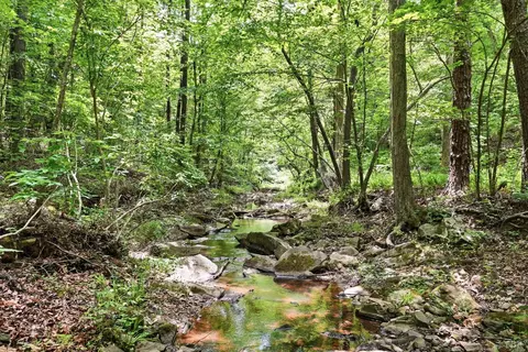 Undisclosed, Spout Spring, VA 24593 photo 10
