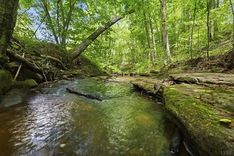 Undisclosed, Spout Spring, VA 24593 photo 11