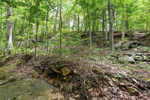 Undisclosed, Spout Spring, VA 24593 photo 12