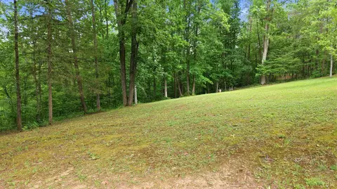 Undisclosed, Spout Spring, VA 24593 photo 84