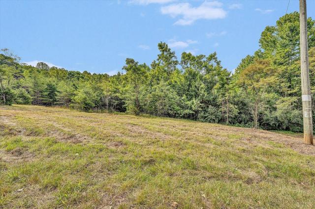 0 Stripers Cove Rd, Goodview, VA 24095