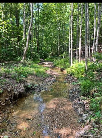 0 Christian Mill Creek Rd, Amherst, VA 24521