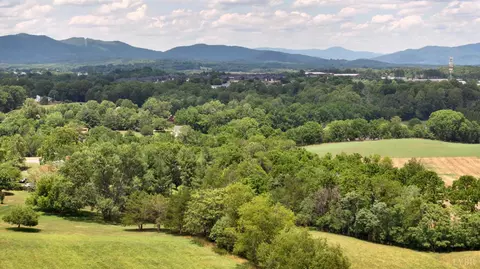 View/Area - 213 Big Maple Dr, Forest, VA 24551 photo 3 of 7