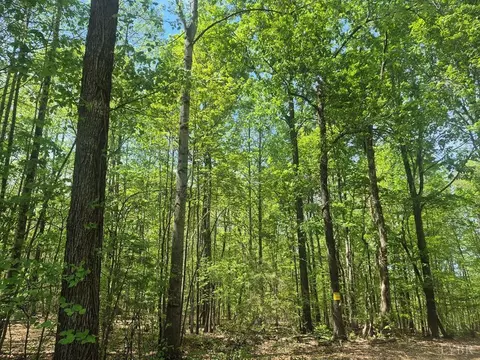 0 Deer Run, Farmville, VA 23901
