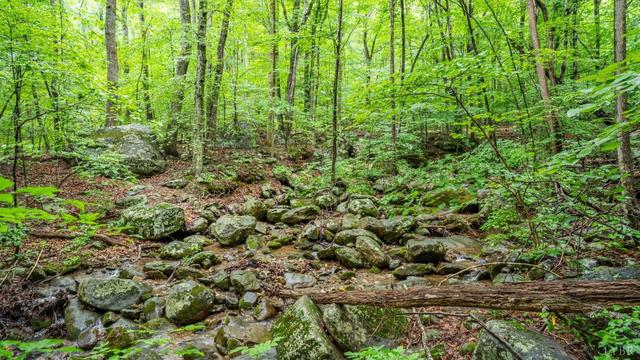 1509 Spruce Crk, Nellysford, VA 22958